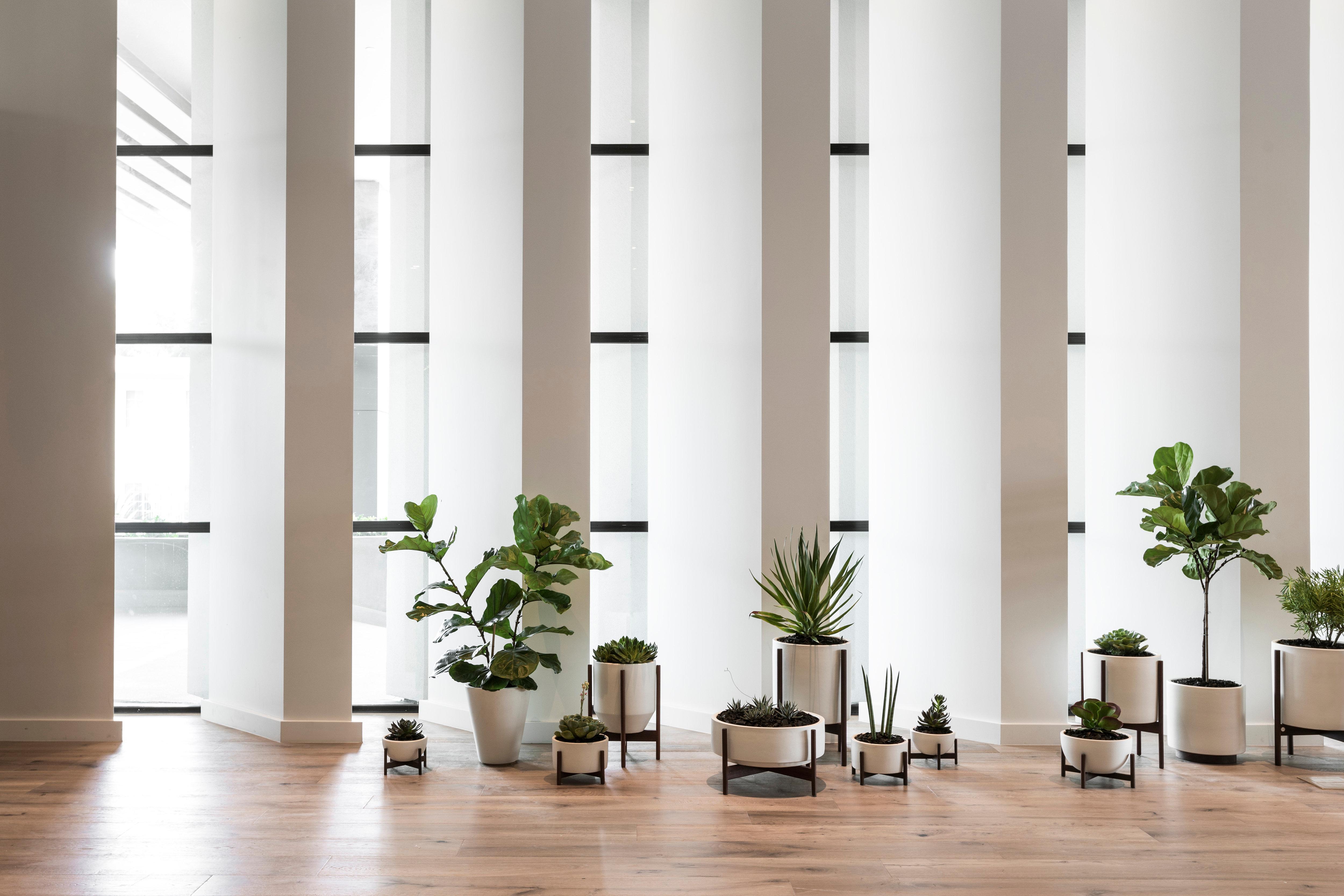 Kimpton Everly Hotel Hollywood By Ihg Los Angeles Ngoại thất bức ảnh